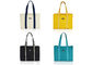 4 borse di totalizzatore della tela di colori hanno personalizzato il peso leggero a strisce riutilizzabile della tessitura dei pp fornitore